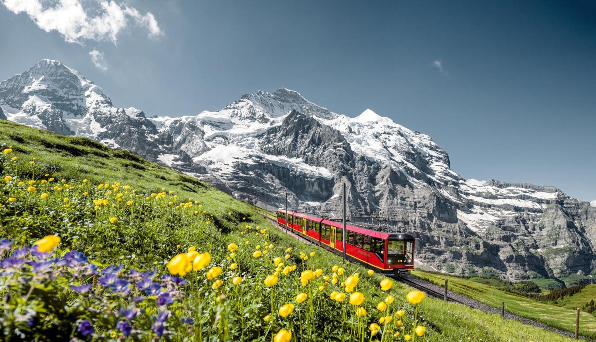 ラウターブルンネン Schutzenbach Backpackers For Adults 18-35ホステル エクステリア 写真